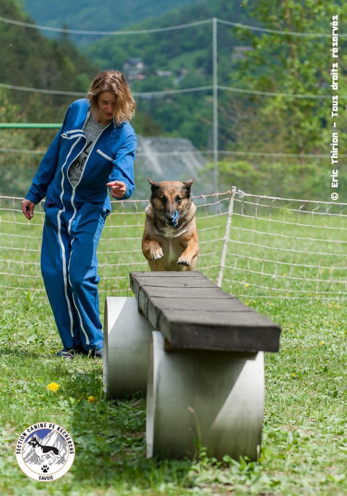 éducation canine